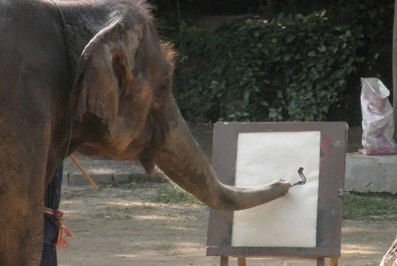 CMLocals Chiang Mai Locals Overstay Penalties serious immigration violation warning